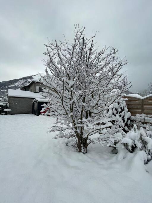 Bel Appartement Dans Residence Cheminee /Jardin ลูซ-แซ็ง-โซเวอร์ ภายนอก รูปภาพ